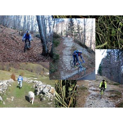 Percorsi in bike